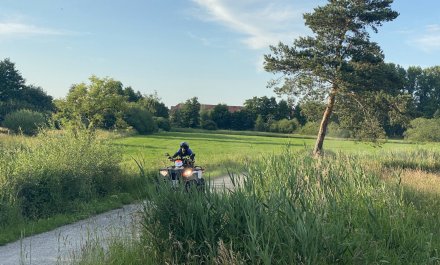 IMG_4709